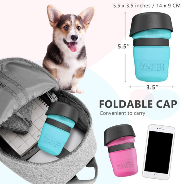 Portable Water Bottle