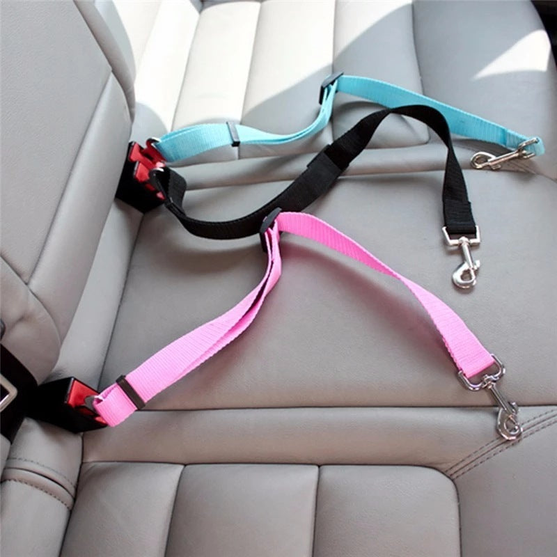 Car Safety Belt