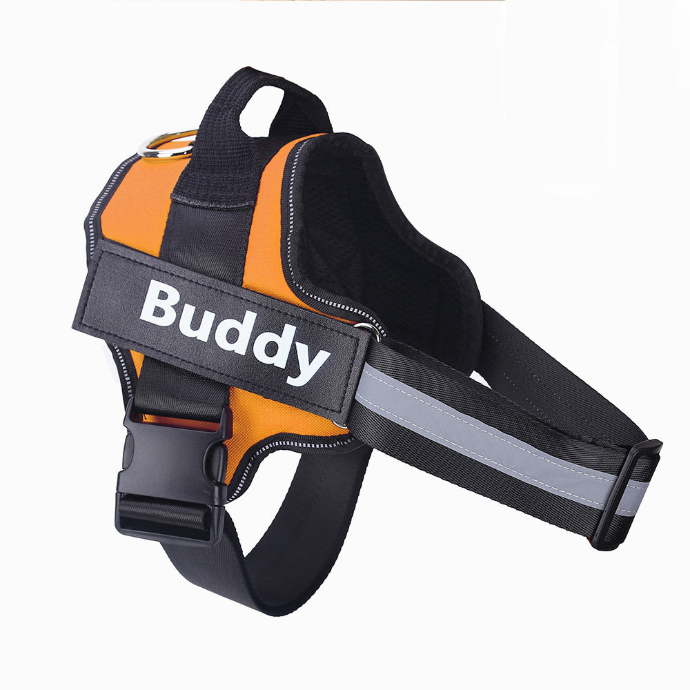 No Pull Personalized Dog Harness