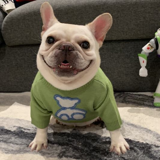 Puppy Wool Sweater
