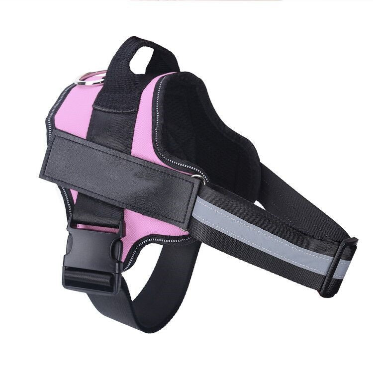 No Pull Personalized Dog Harness