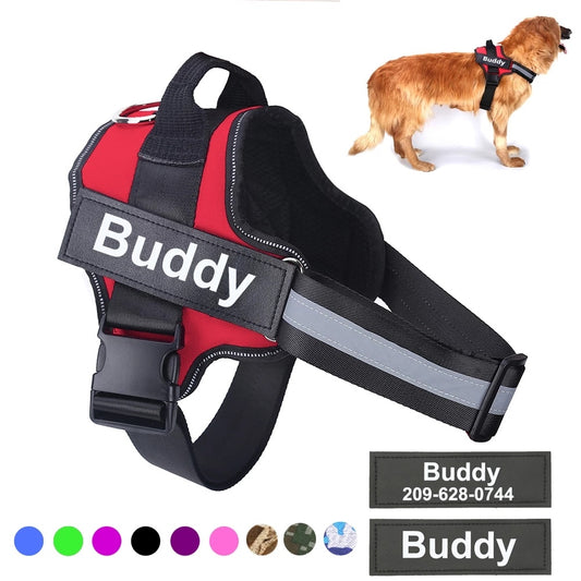 No Pull Personalized Dog Harness