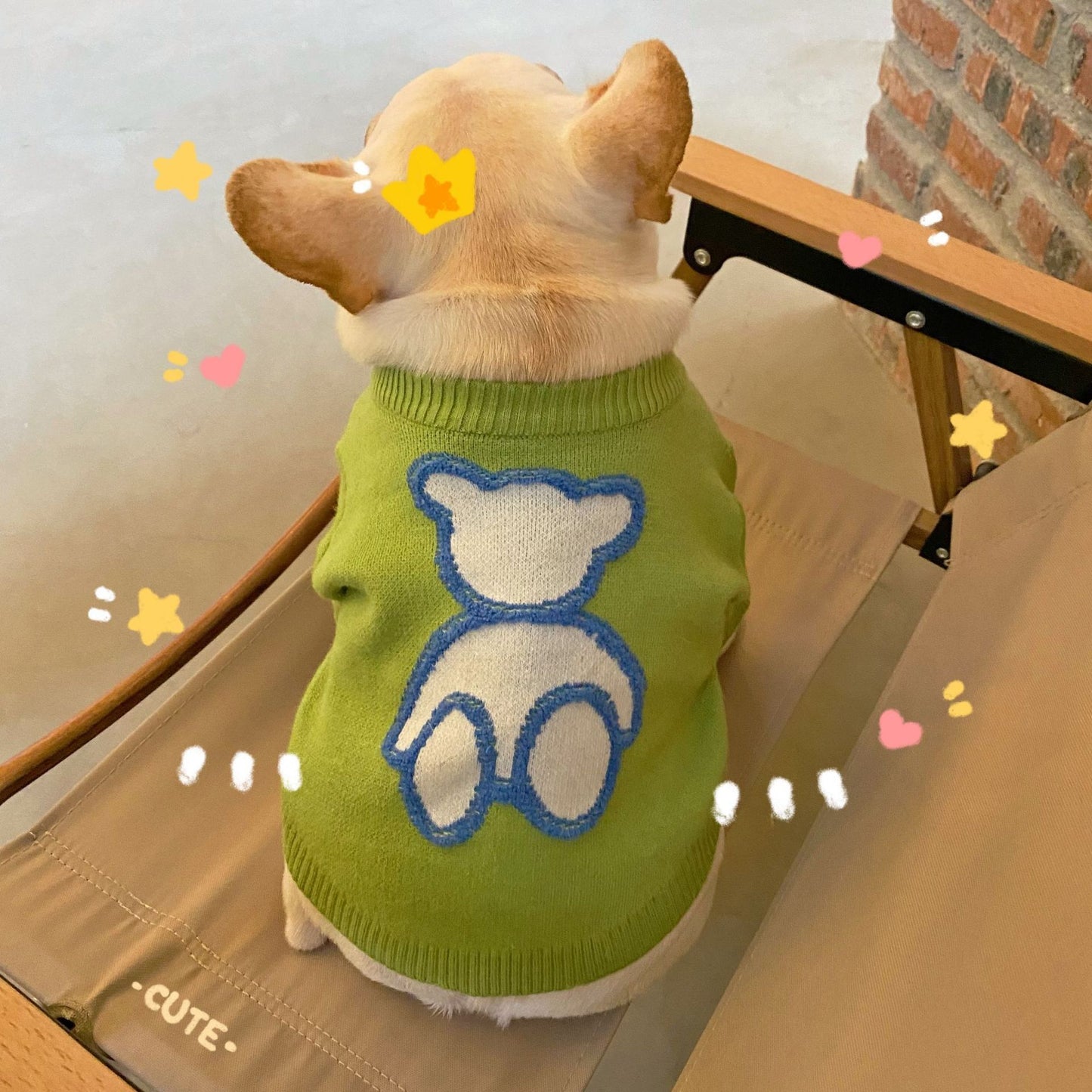 Puppy Wool Sweater
