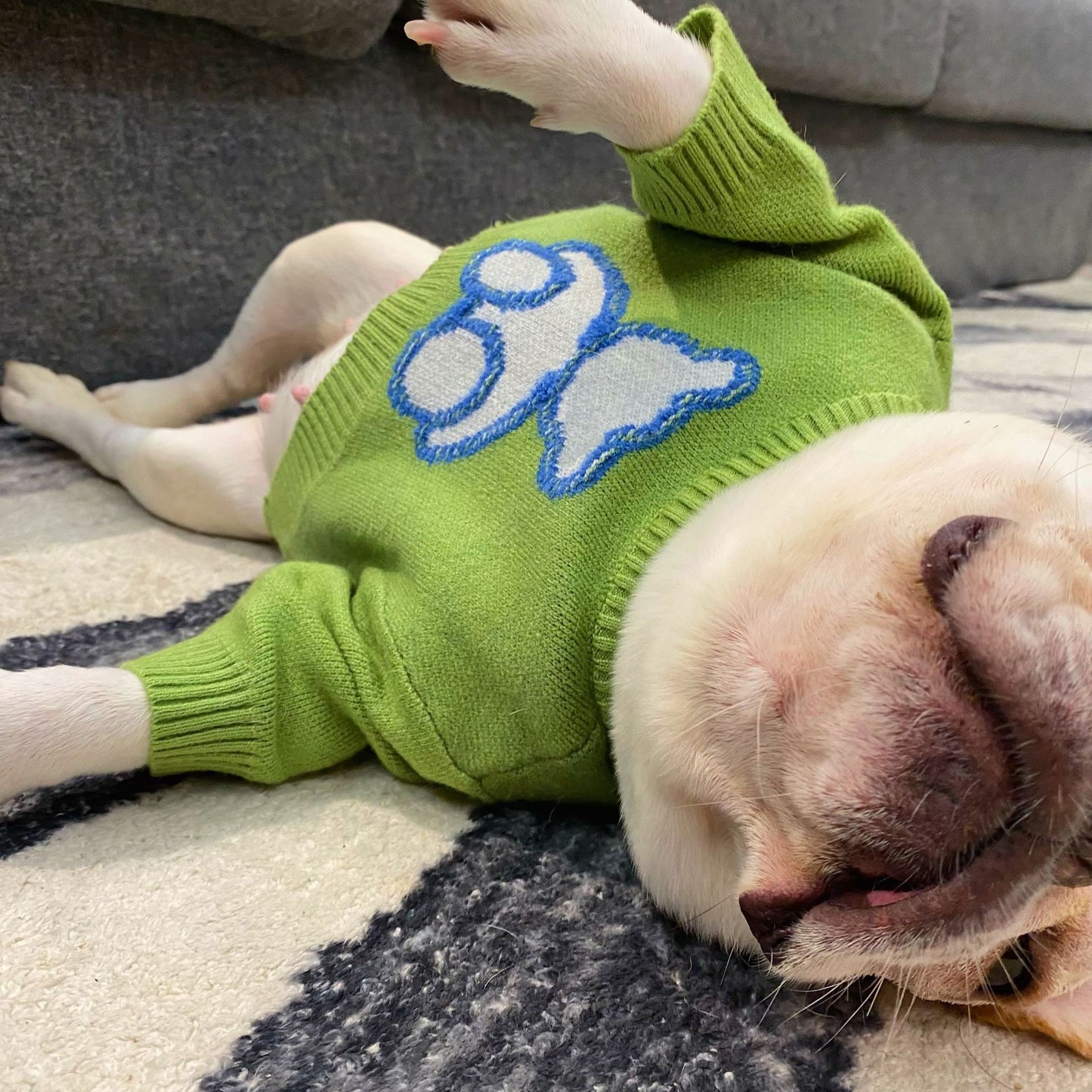 Puppy Wool Sweater